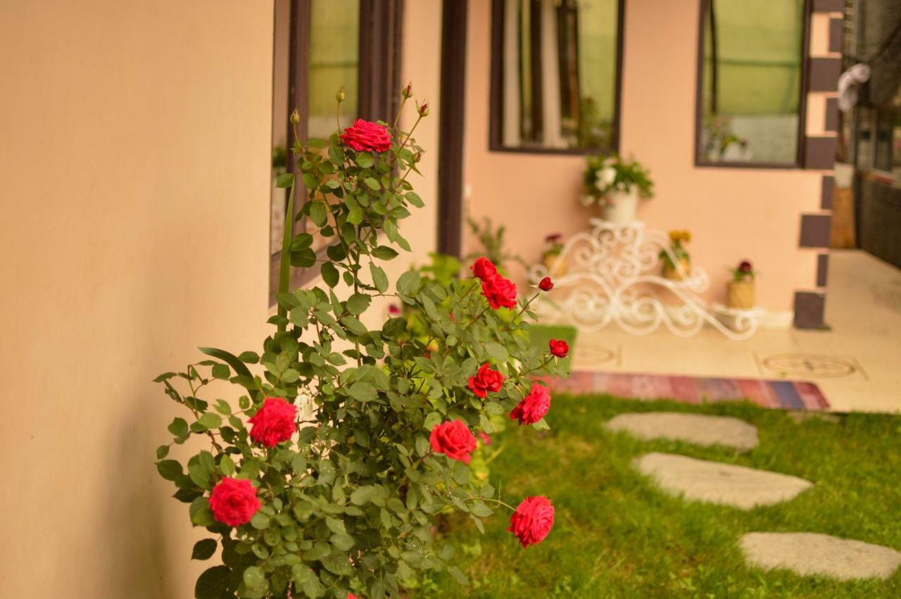 Hill House Manali -A Home In Mountains Dış mekan fotoğraf